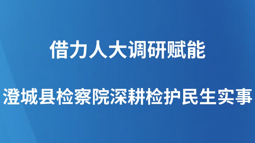 借力人大调研赋能 澄城县检察院深耕检护民生实事