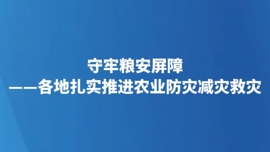 守牢粮安屏障——各地扎实推进农业防灾减灾救灾