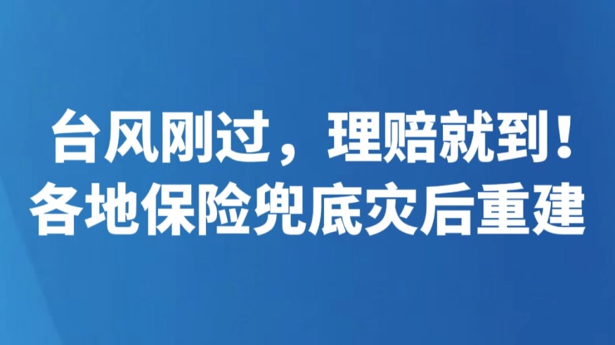 台风刚过，理赔就到！各地保险兜底灾后重建
