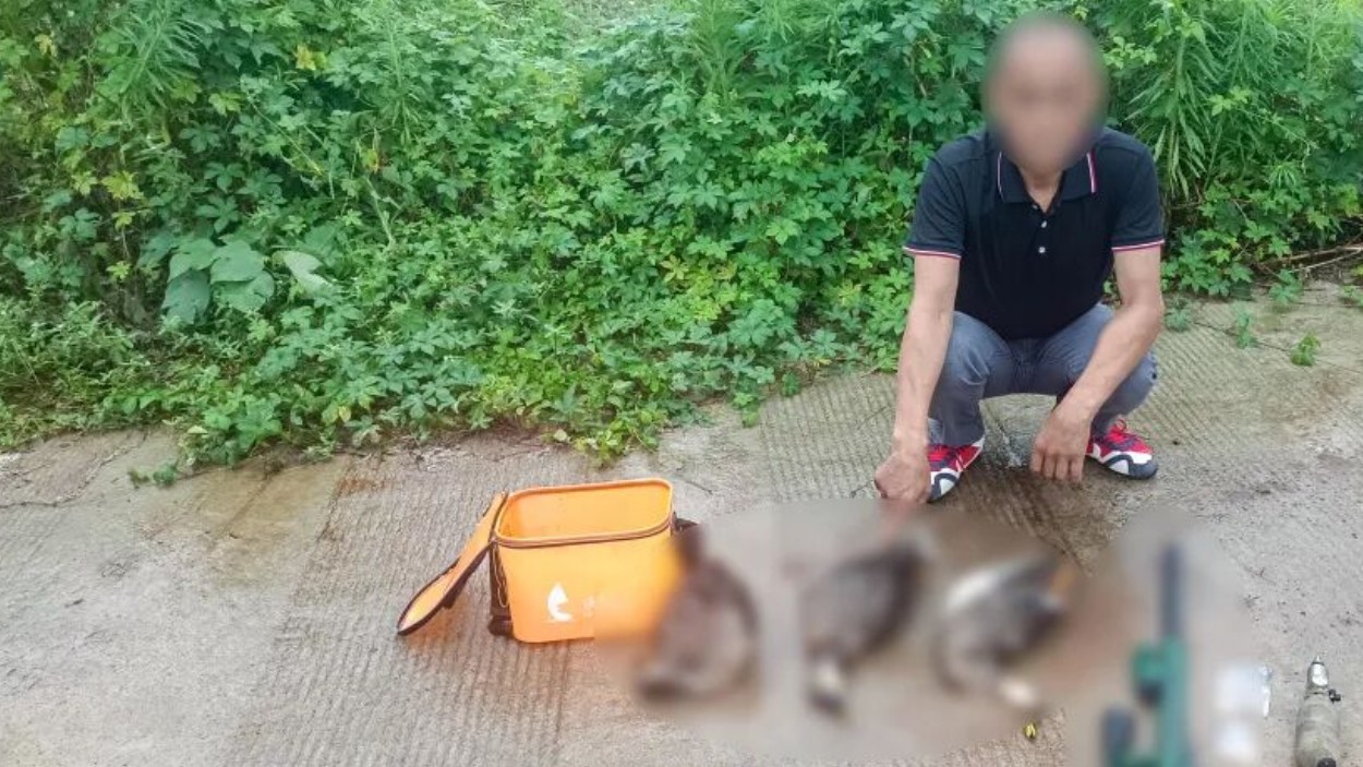 心存侥幸“试枪”狩猎，南充一男子网购配件改装枪支被拘