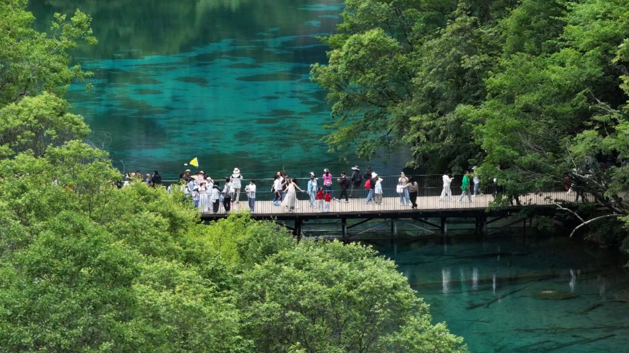 网传九寨沟湖水染色？官方详解斑斓水色成因