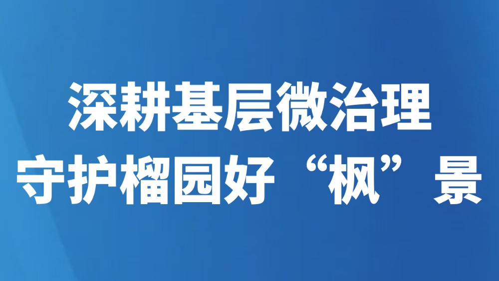 深耕基层微治理 守护榴园好“枫”景
