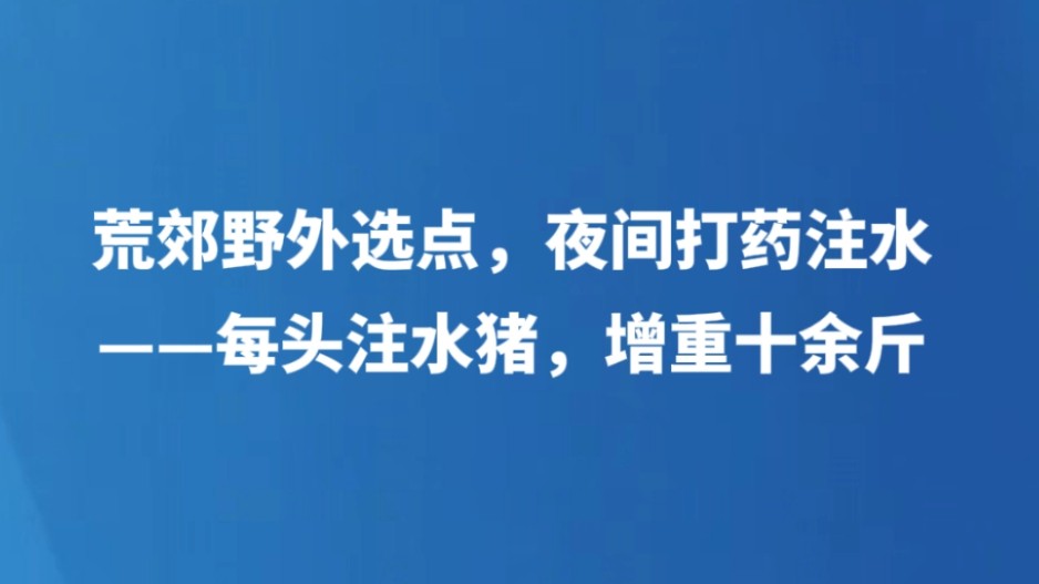 荒郊野外选点，夜间打药注水——每头注水猪，增重十余斤