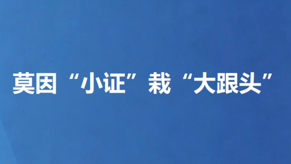 莫因“小证”栽“大跟头”