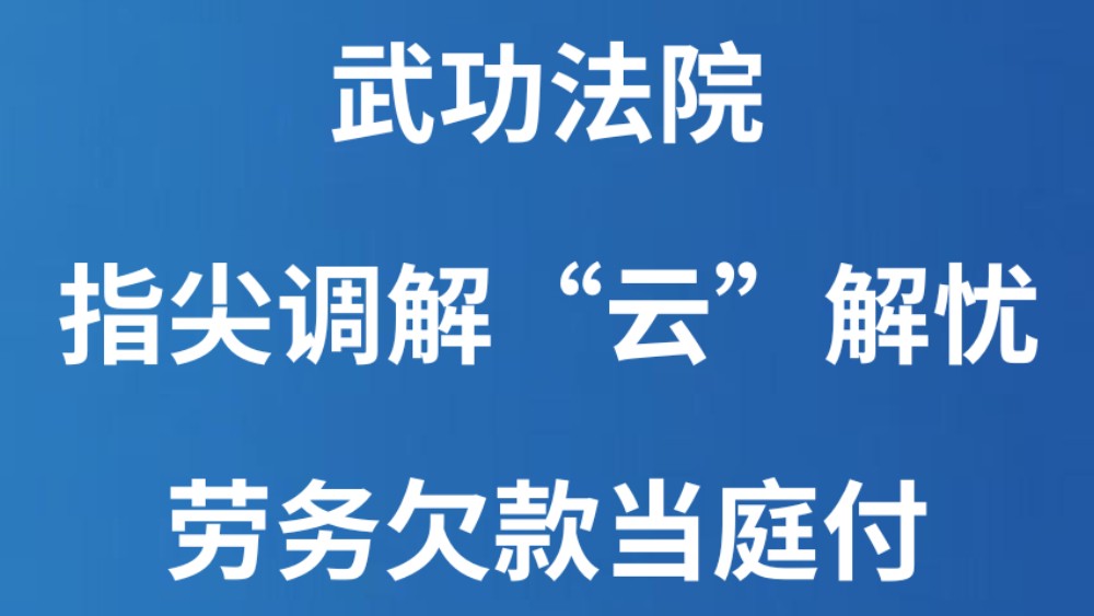 武功法院：指尖调解“云”解忧 劳务欠款当庭付