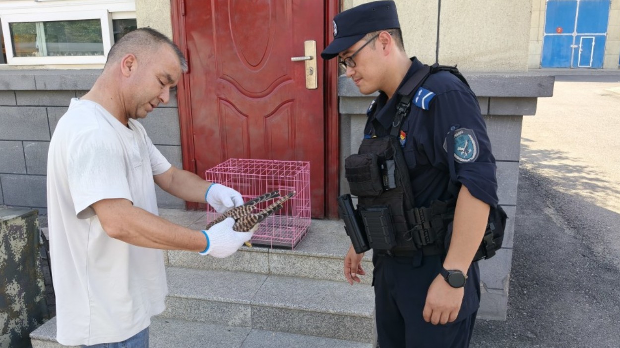 新疆伊宁市公安局：深耕生态警务 守护生灵万物