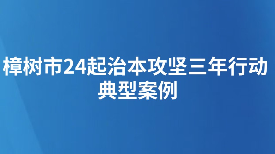 樟树市24起治本攻坚三年行动典型案例