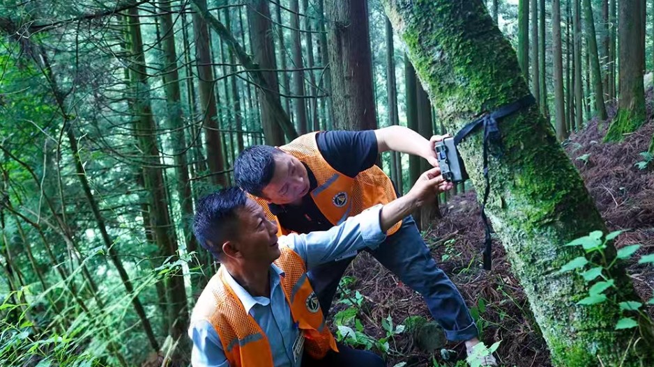 巡山护林严防火