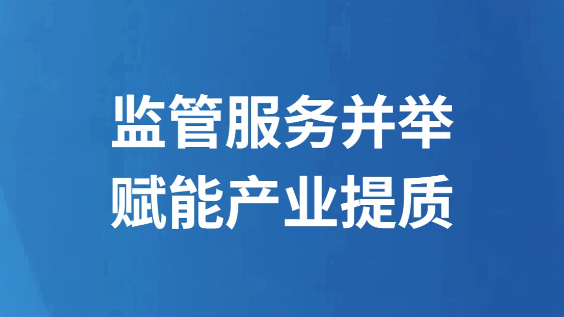 监管服务并举 赋能产业提质