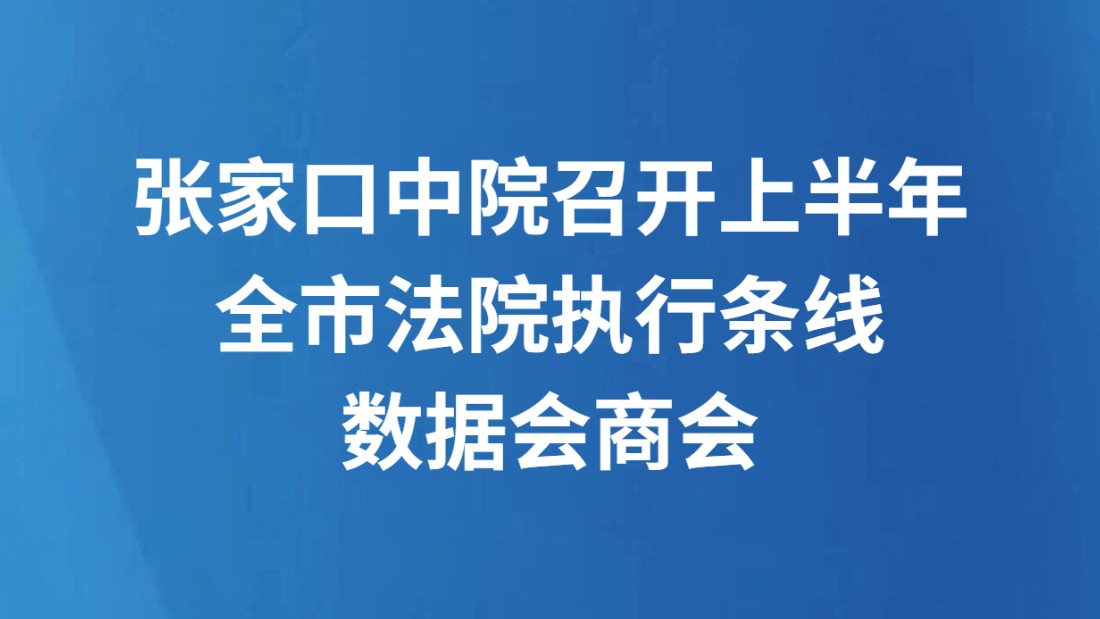 张家口中院召开上半年全市法院执行条线数据会商会
