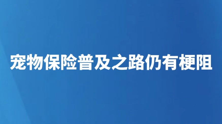 宠物保险普及之路仍有梗阻