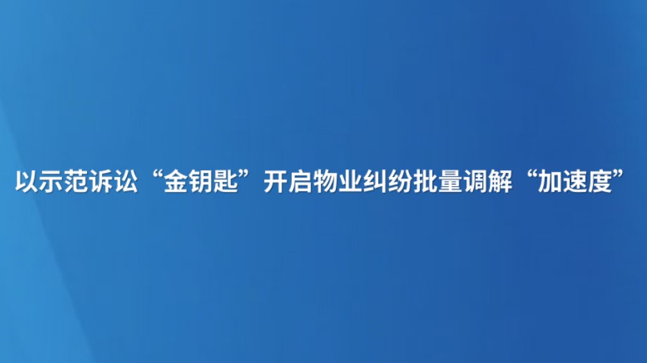 以示范诉讼“金钥匙”开启物业纠纷批量调解“加速度”