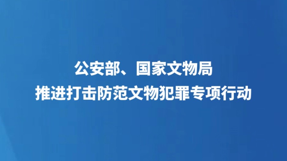 公安部、国家文物局推进打击防范文物犯罪专项行动