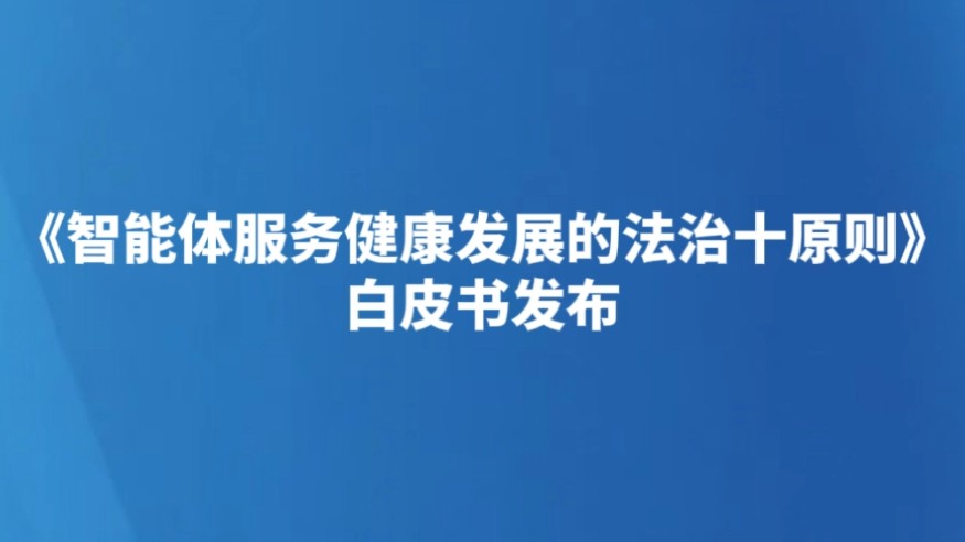 《智能体服务健康发展的法治十原则》白皮书发布