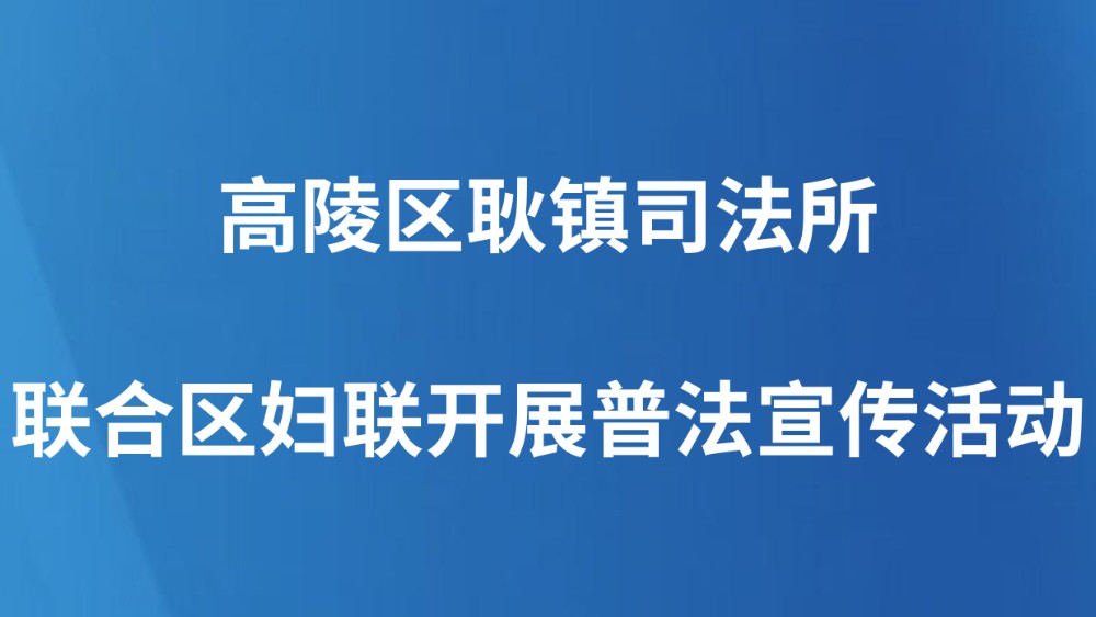 高陵区耿镇司法所联合区妇联开展普法宣传活动