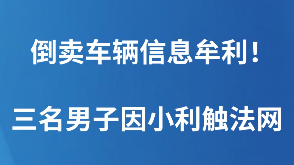 倒卖车辆信息牟利！三名男子因小利触法网