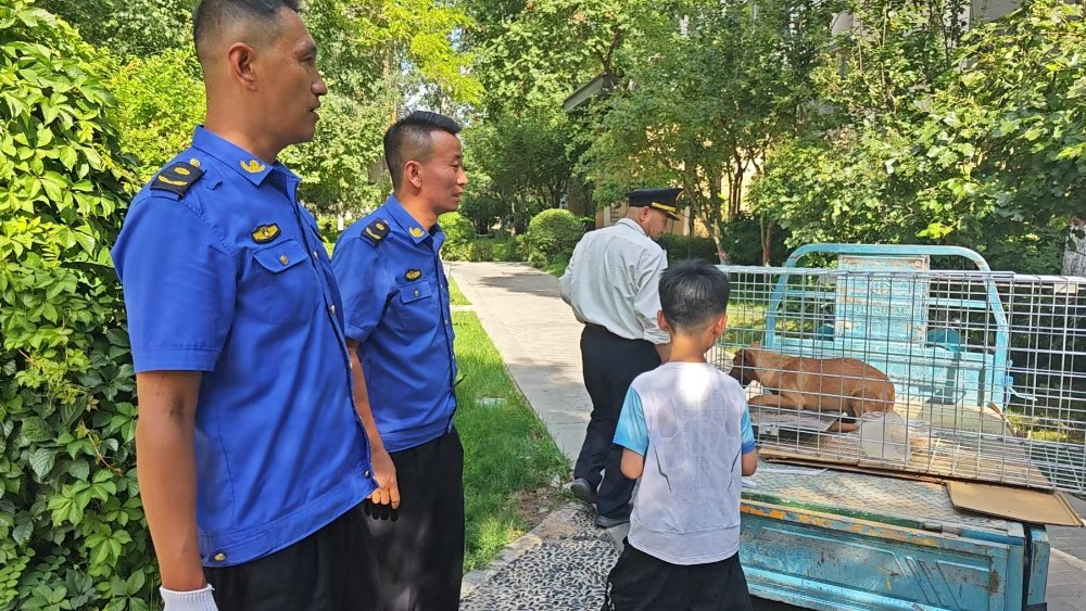 银川市兴庆区泰和社区：联合执法除隐患 文明养犬筑防线