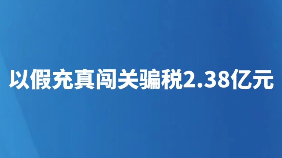 以假充真闯关骗税2.38亿元