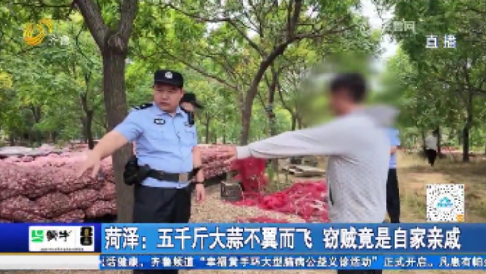 菏泽：五千斤大蒜不翼而飞 窃贼竟是自家亲戚