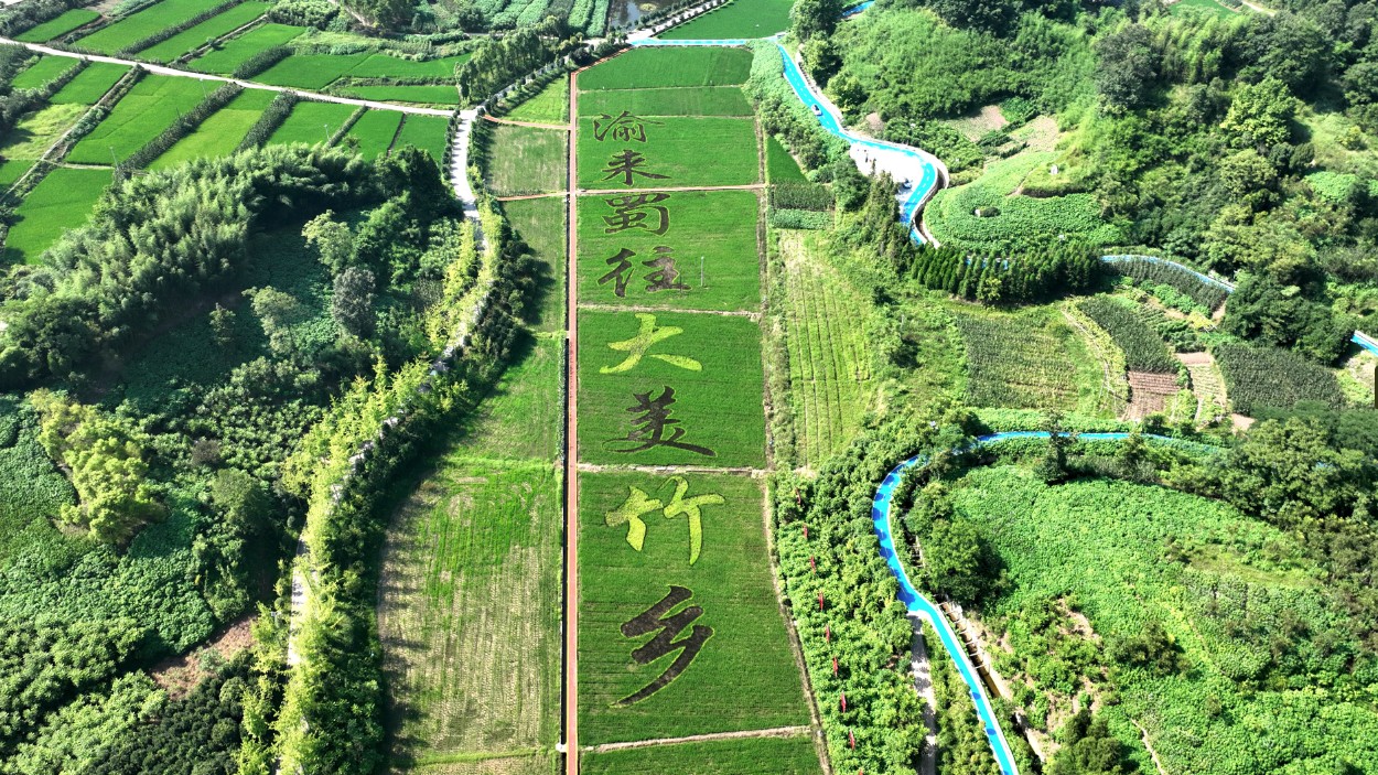 沃野之上，变了模样 ——四川大竹县以科技解锁农业“丰”景