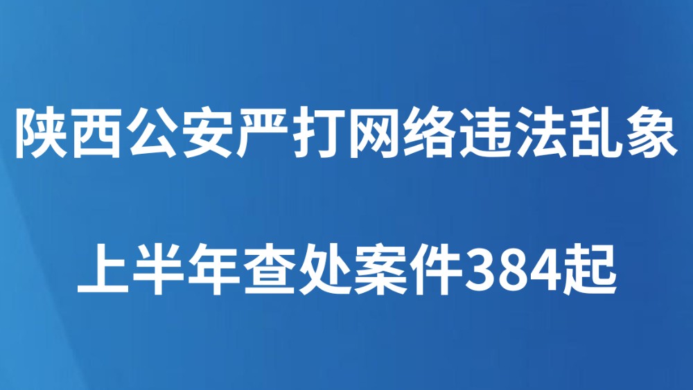 陕西公安严打网络违法乱象 上半年查处案件384起