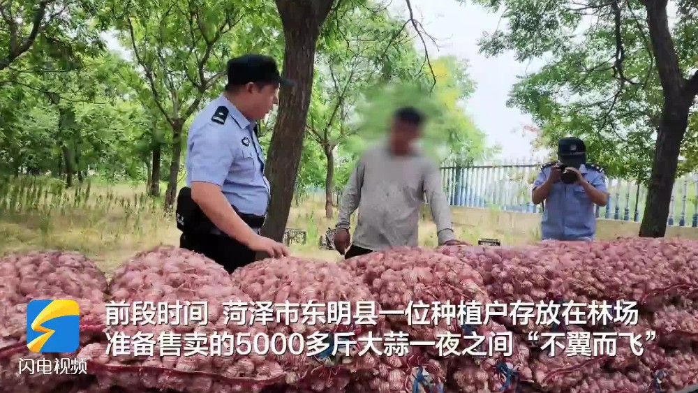 “帮除草”骗走门卫、“叫表妹”搬空蒜堆……东明这起5000斤大蒜失窃案，嫌疑人竟是自家亲戚