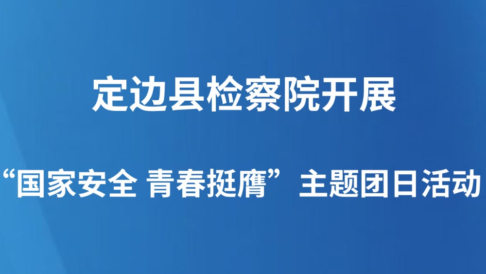 定边县检察院开展“国家安全 青春挺膺”主题团日活动