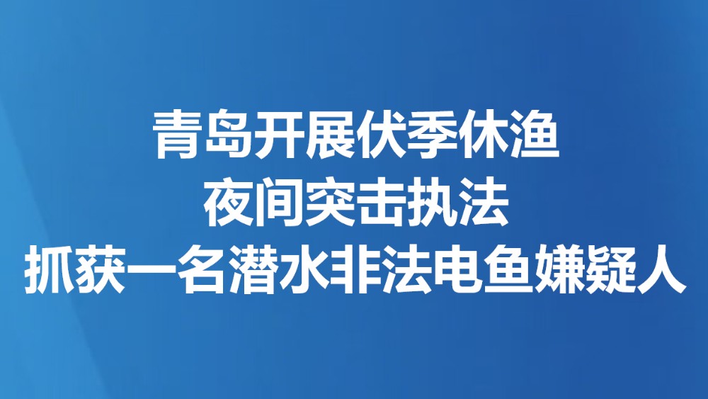 青岛开展伏季休渔夜间突击执法 抓获一名潜水非法电鱼嫌疑人