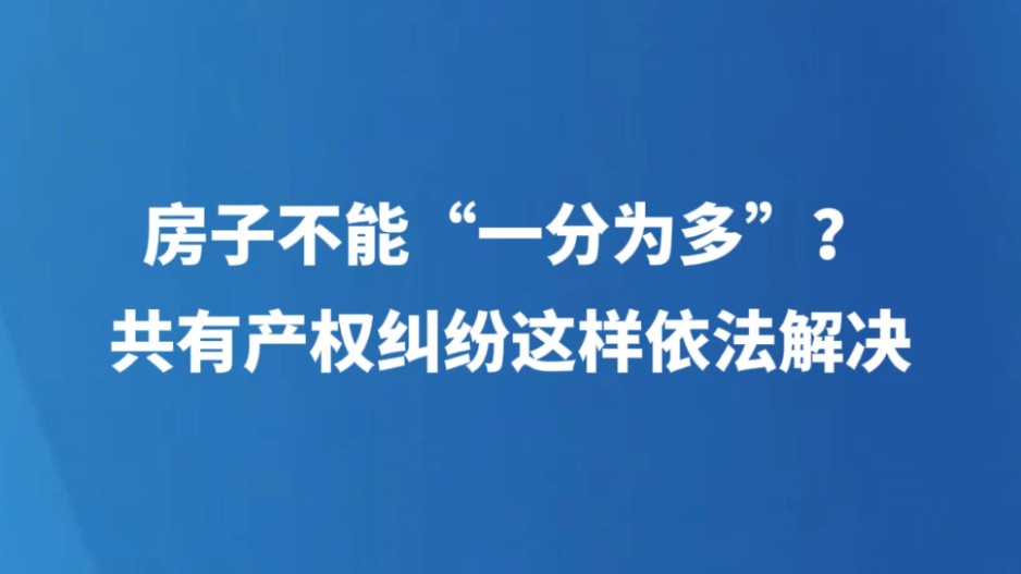 房子不能 “一分为多”？共有产权纠纷这样依法解决