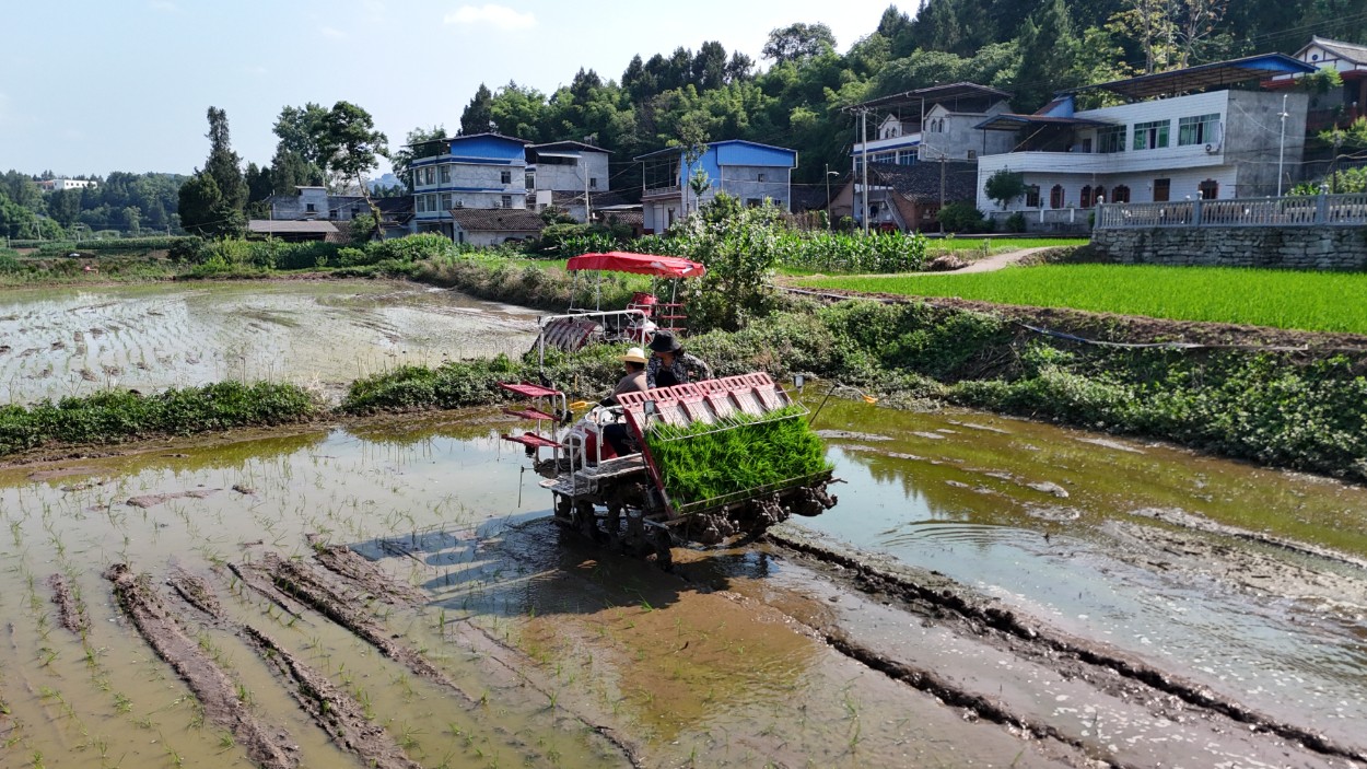 东西部协作助力 四川仪陇农业全链发力