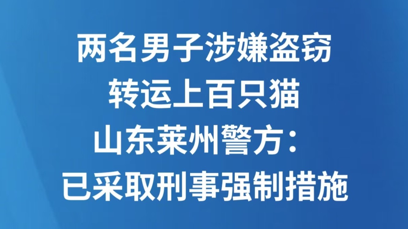 两名男子涉嫌盗窃转运上百只猫 山东莱州警方：已采取刑事强制措施