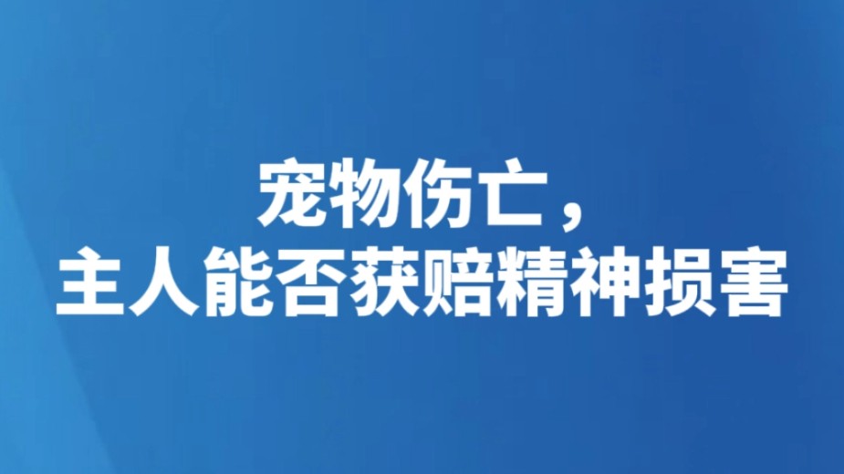 宠物伤亡，主人能否获赔精神损害
