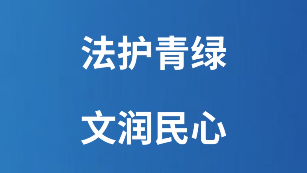 法护青绿 文润民心