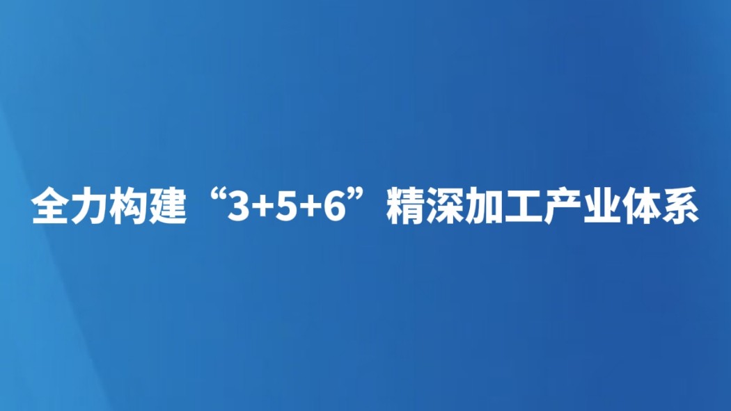 全力构建“3+5+6”精深加工产业体系