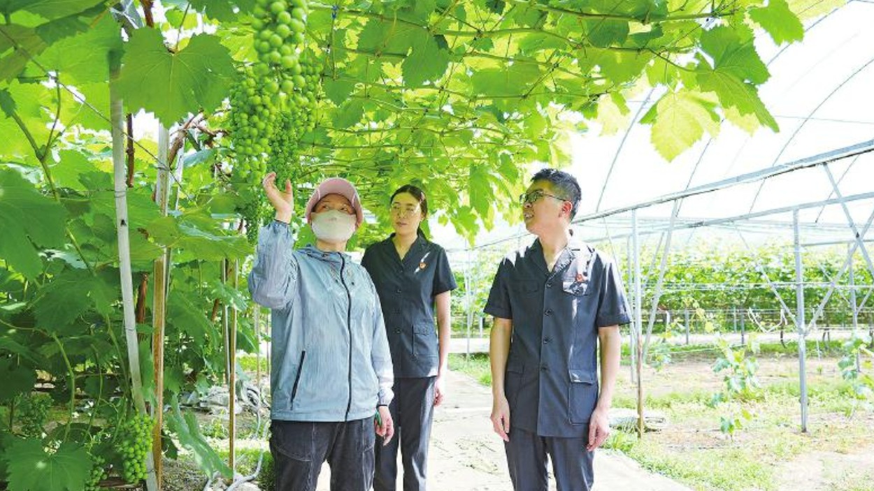 “和事伯”摆“龙门阵”解矛盾纠纷