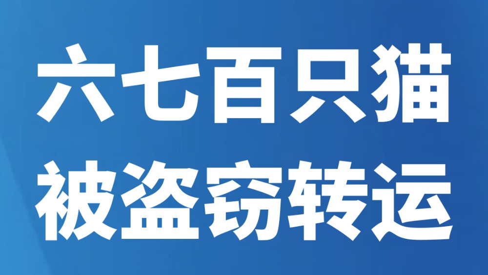 六七百只猫被盗窃转运