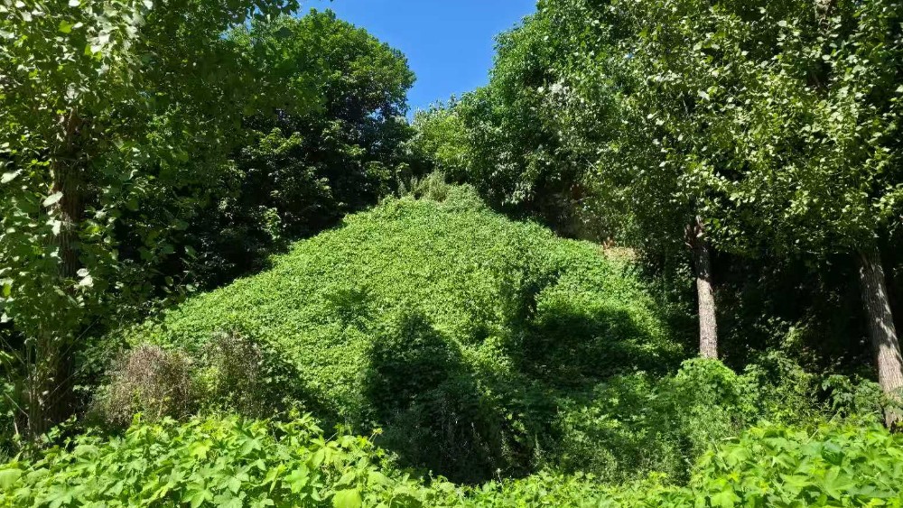 守好良田沃土 护好碧水清波