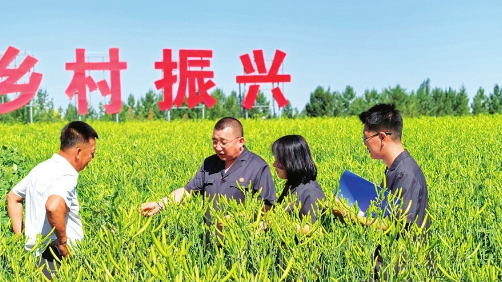 田间普法 现场纾困