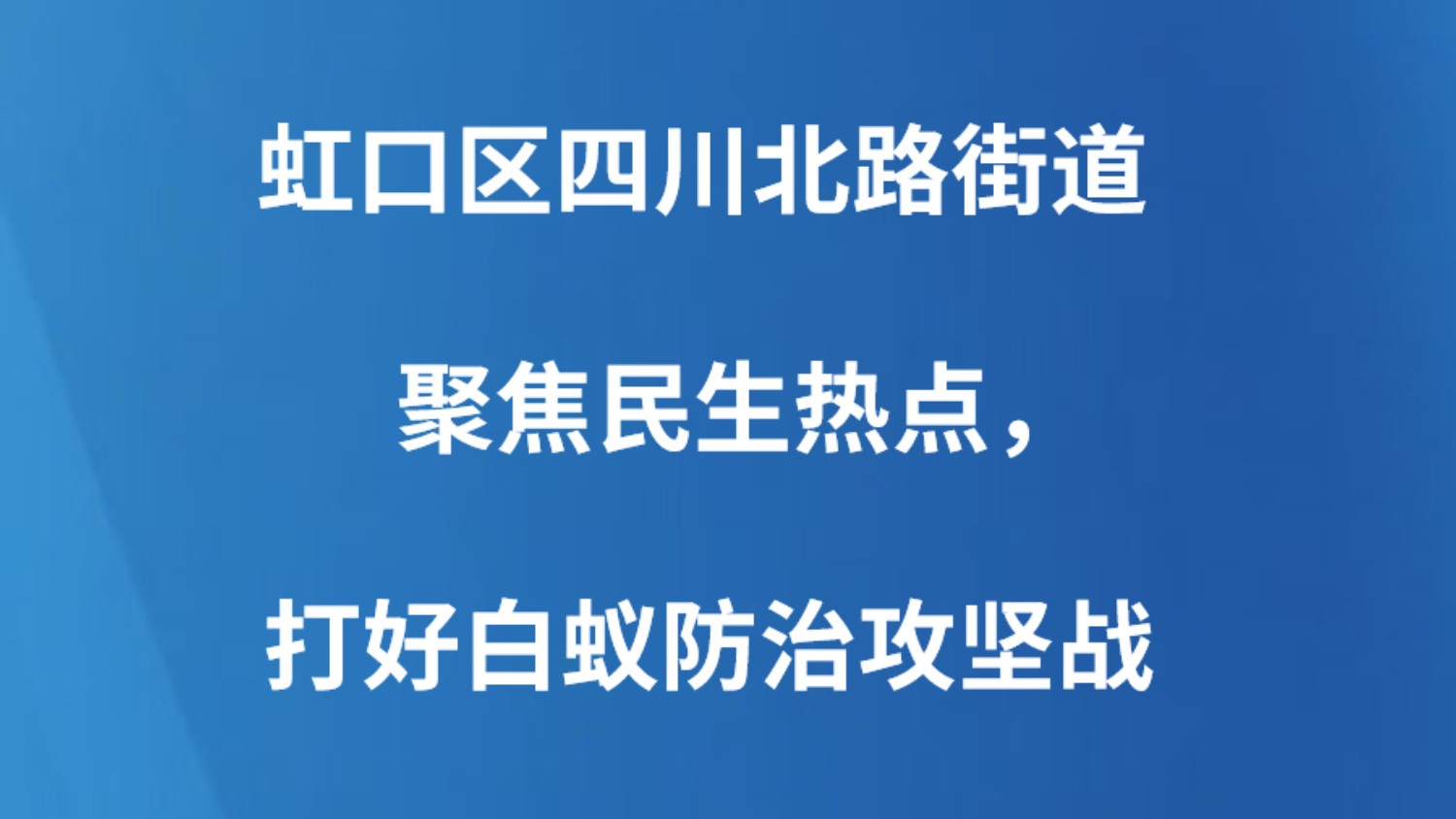 虹口区四川北路街道聚焦民生热点，打好白蚁防治攻坚战