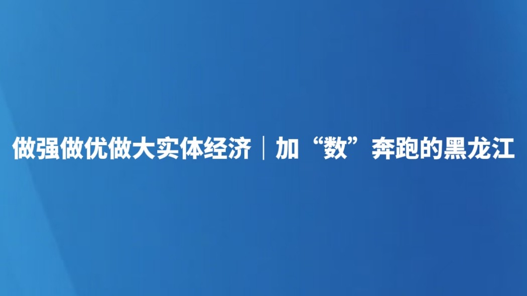 做强做优做大实体经济｜加“数”奔跑的黑龙江