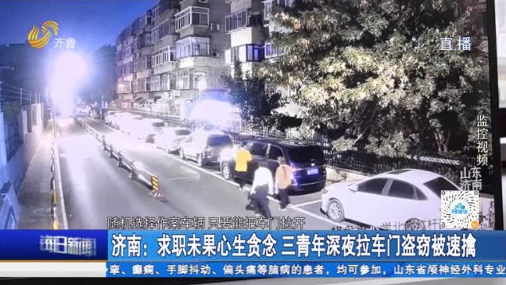 济南：求职未果心生贪念 三青年深夜拉车门盗窃被速擒