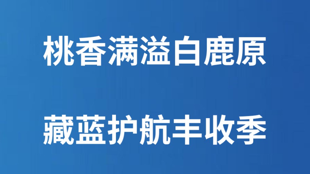 桃香满溢白鹿原 藏蓝护航丰收季