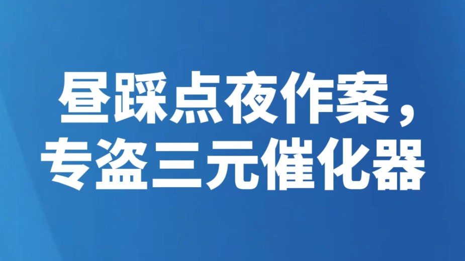 昼踩点夜作案，专盗三元催化器