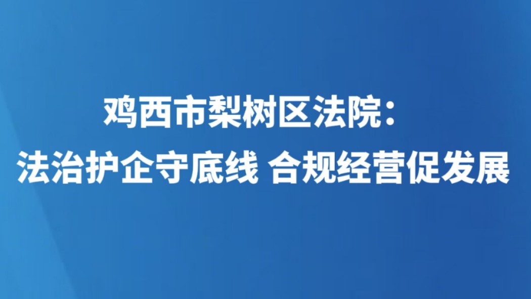 鸡西市梨树区法院：法治护企守底线 合规经营促发展