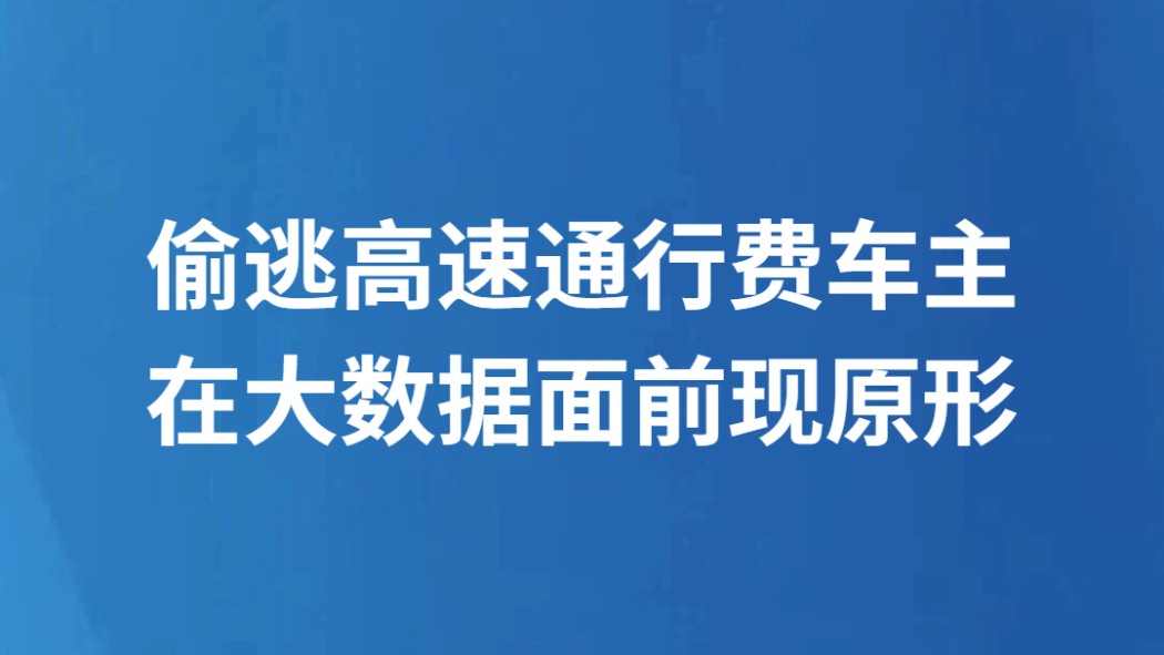 偷逃高速通行费车主 在大数据面前现原形