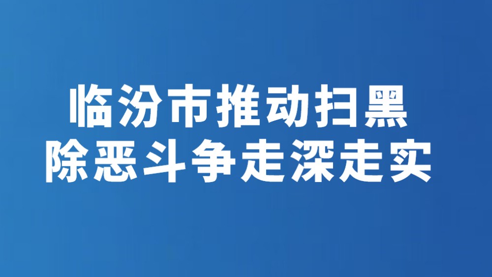 临汾市推动扫黑除恶斗争走深走实