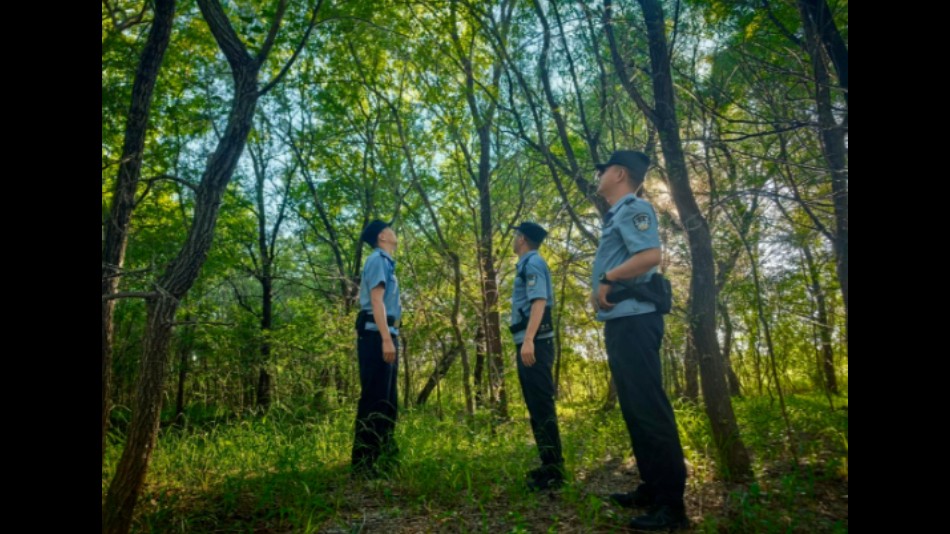 生态美、产业兴、百姓安——内蒙古乌兰浩特打造特色生态警务样板
