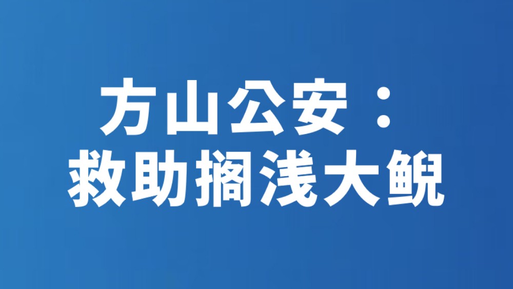 方山公安：救助搁浅大鲵