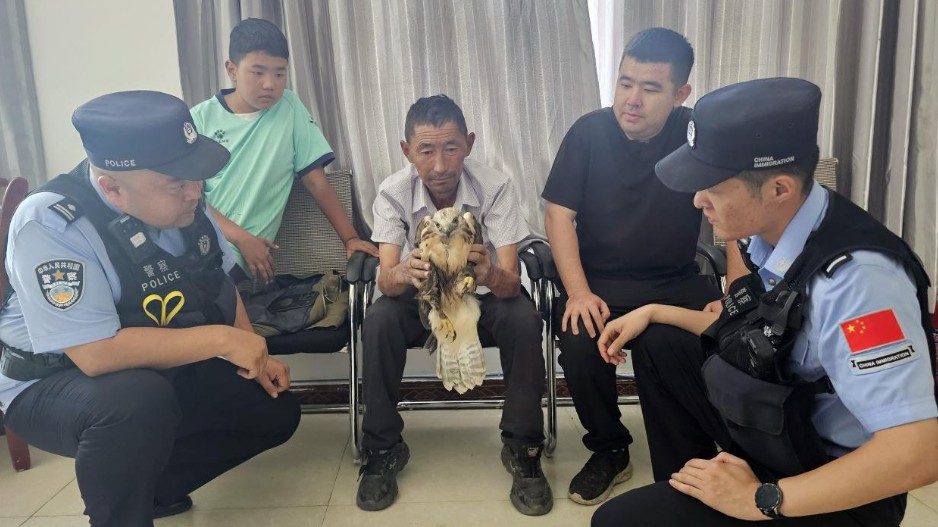 警民联动救助野生猛禽 生态警务守护边境生物多样性