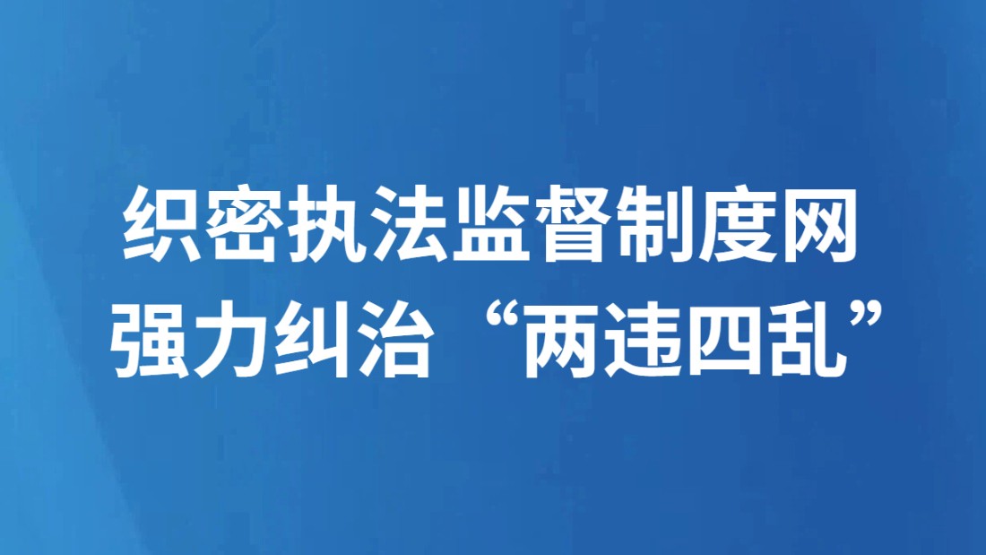织密执法监督制度网 强力纠治“两违四乱”